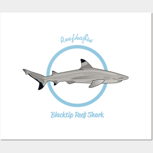 Blacktip Reef Shark Posters and Art